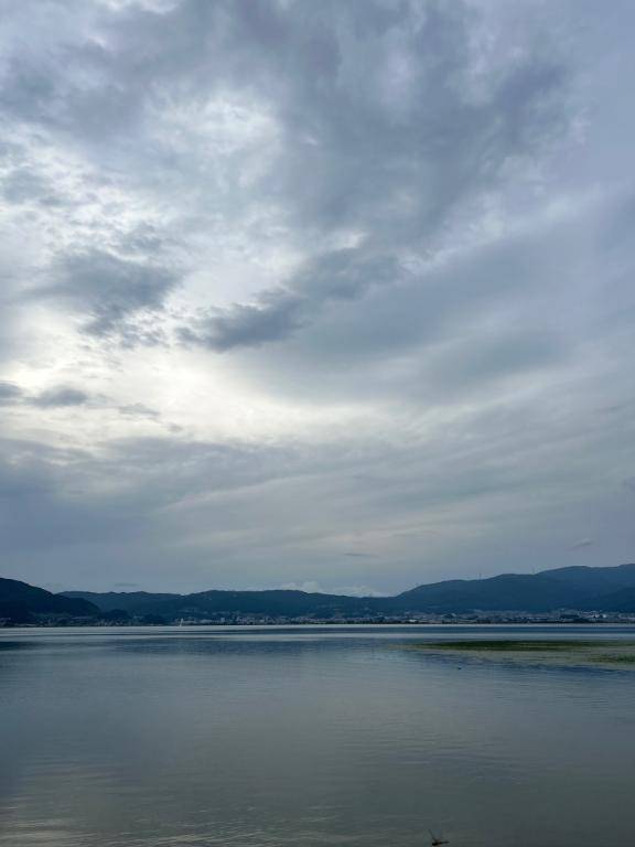 れんかpicture