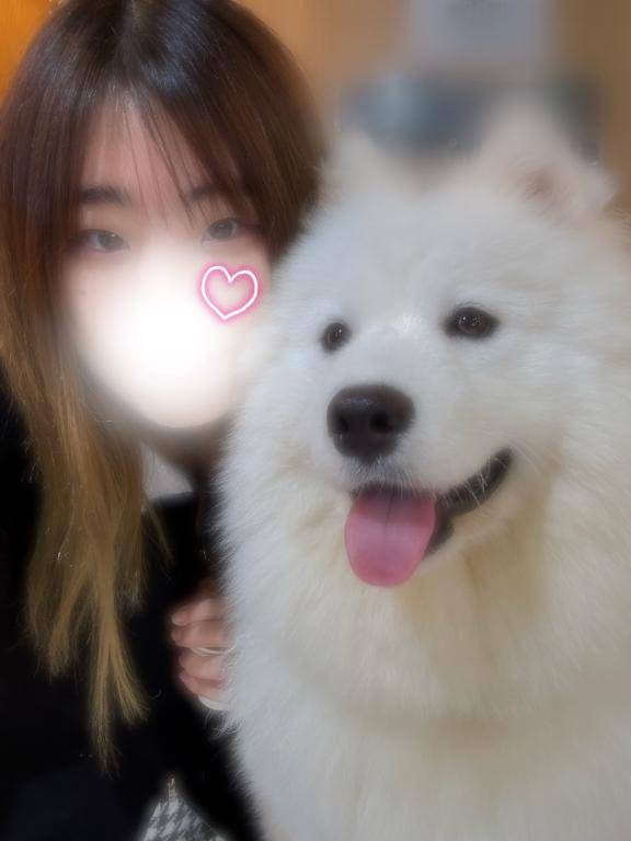 ゆのpicture
