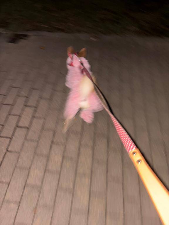 ゆのpicture